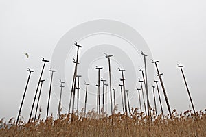 ItÃ¢â¬â¢s the scenery of a korean park